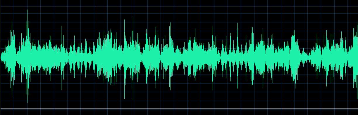 Trzeciak waveform (Track 2)