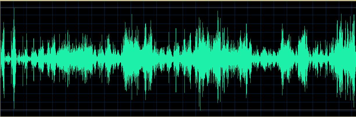 Trzeciak waveform (Track 4)