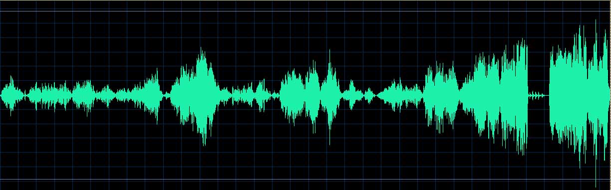 Indjic waveform (Track 8)