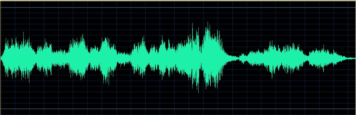 Matsuzawa waveform (Track 10)