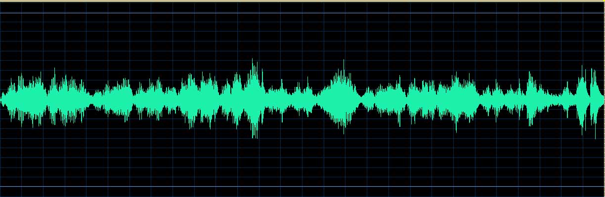 Matsuzawa waveform (Track 11)