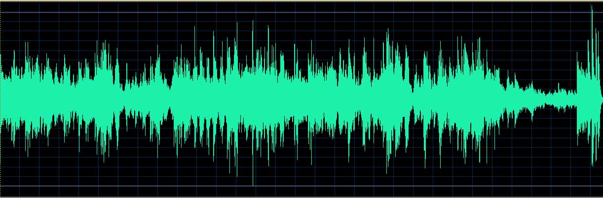 Matsuzawa waveform (Track 12)