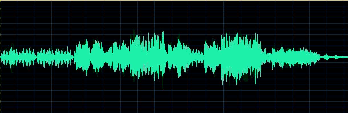 Matsuzawa waveform (Track 15)