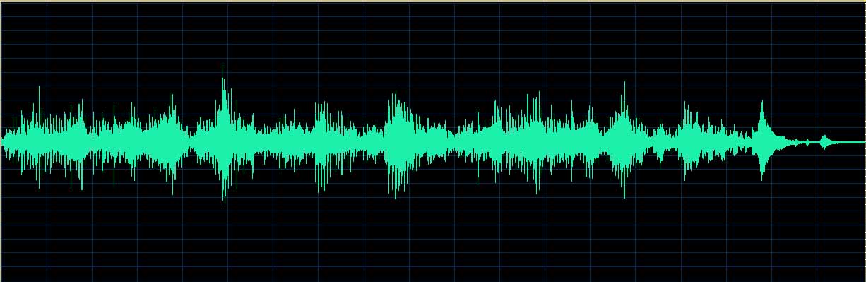 Matsuzawa waveform (Track 16)