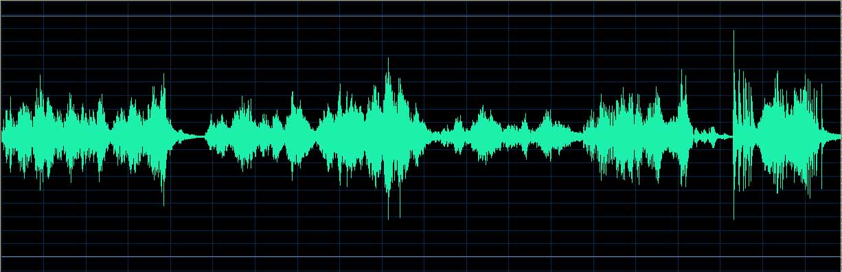 Matsuzawa waveform (Track 17)
