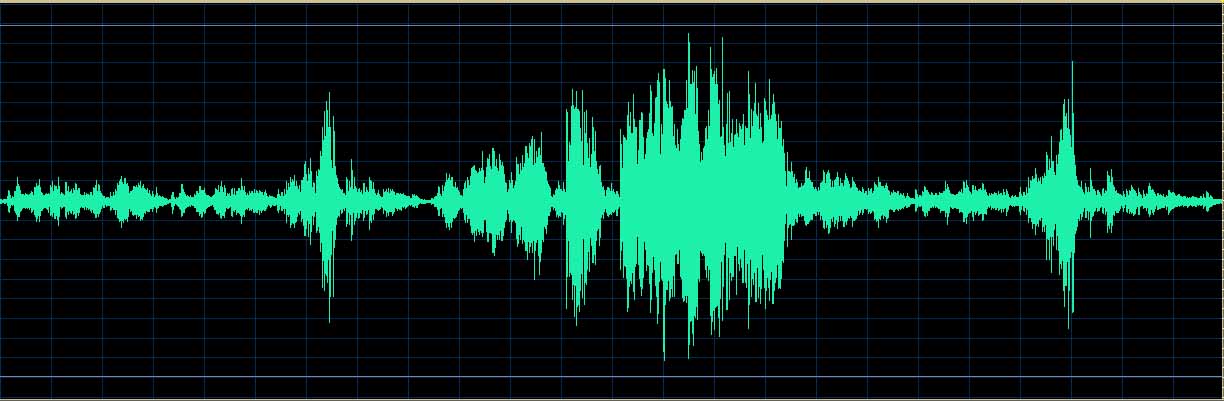 Matsuzawa waveform (Track 3)