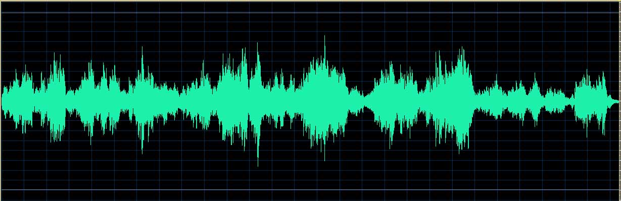 Matsuzawa waveform (Track 8)