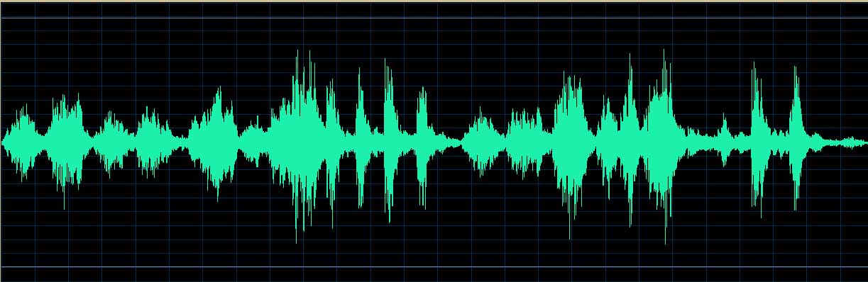 Matsuzawa waveform (Track 9)