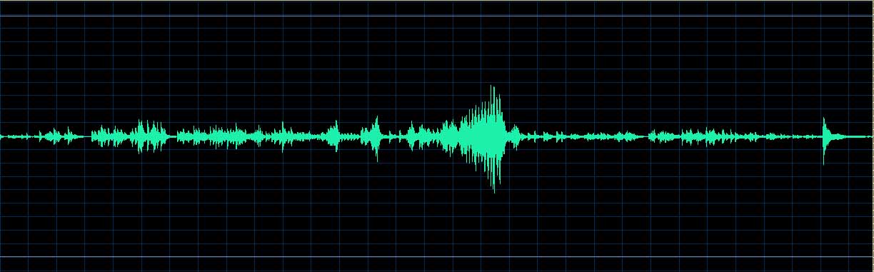 Hatto Etude No. 10 waveform