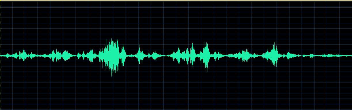 Hatto La plus que lente waveform