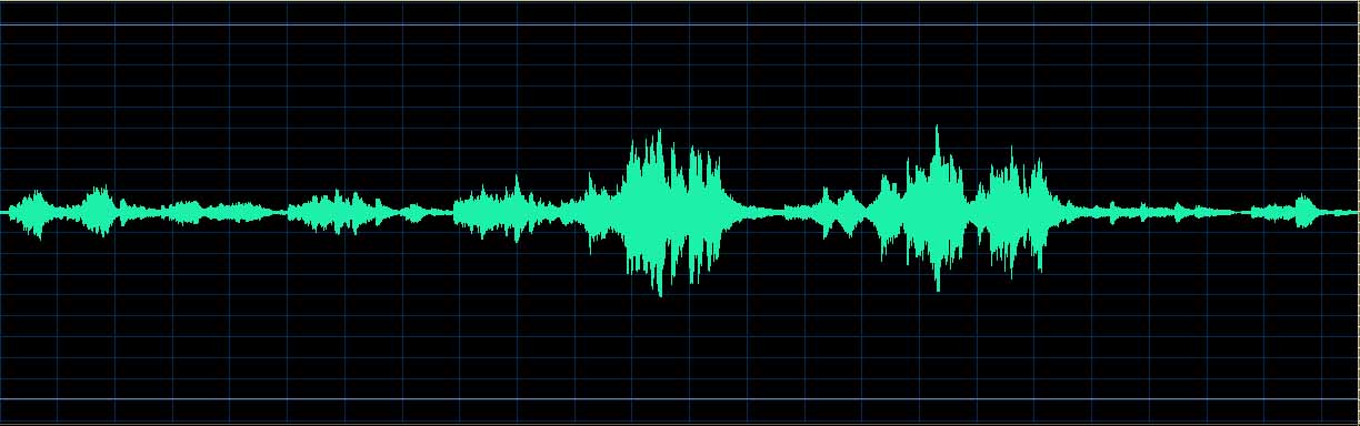 Hatto Hommage à Haydn waveform