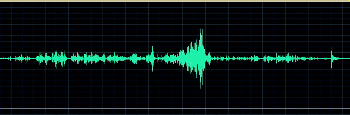 Rahkonen Etude No. 10 waveform
