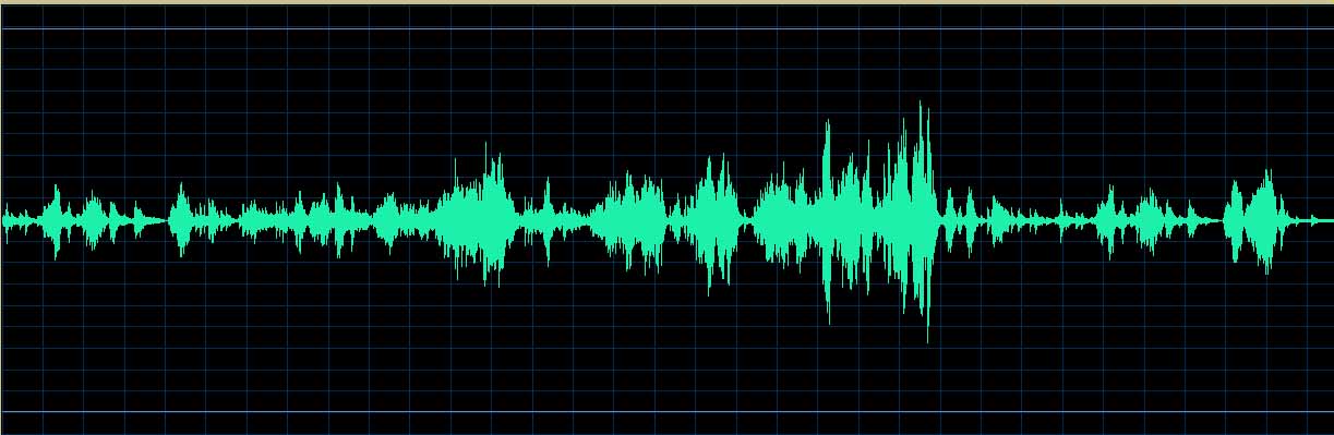 Rahkonen Etude No. 8 waveform