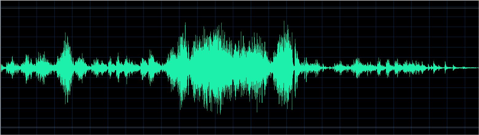 Kazune Shimizu waveform