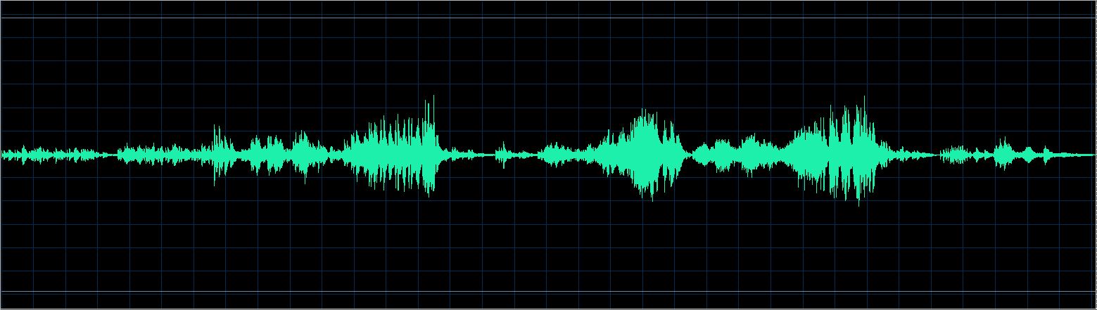 Janina Fialkowska waveform