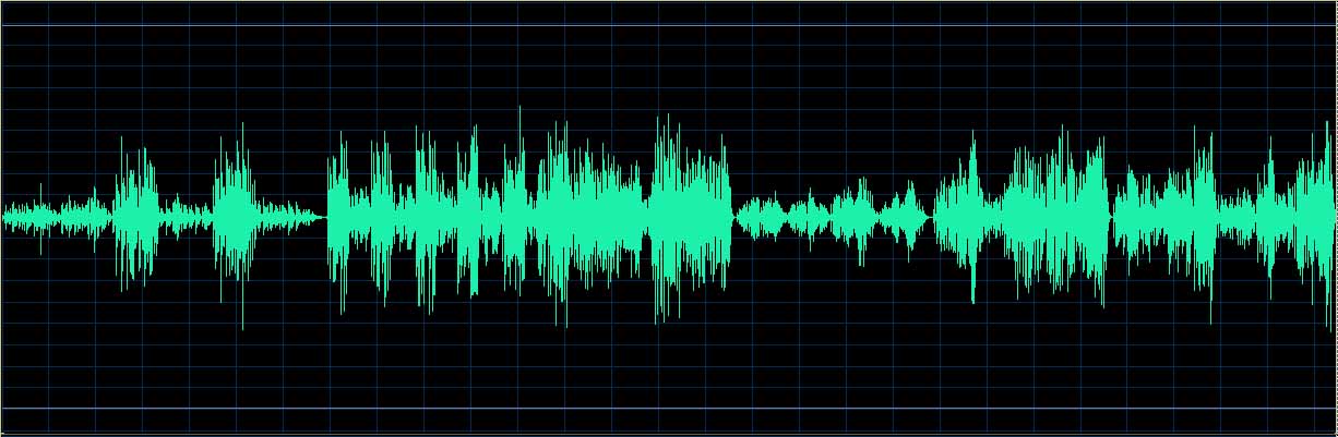 Michel Dalberto waveform