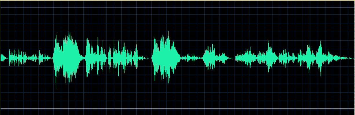 Esther Budiardjo waveform
