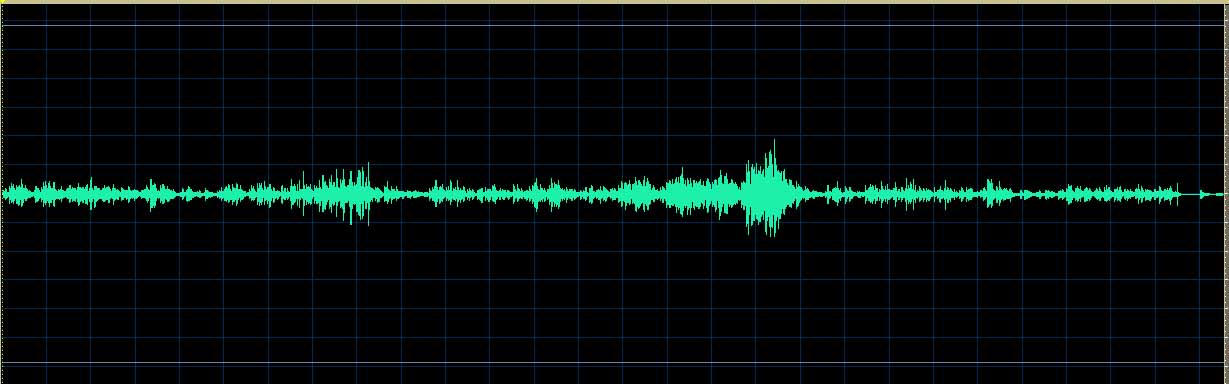 Adam Wodnicki waveform