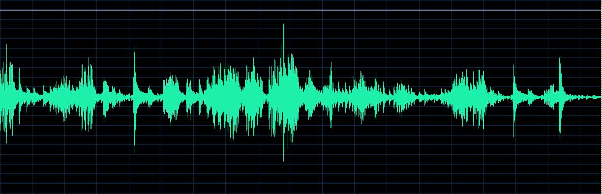 Izumi Tateno waveform