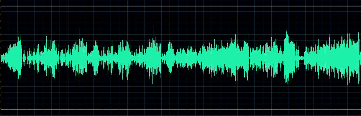 Margit Rahkonen waveform
