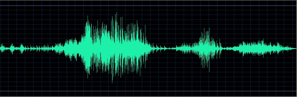 Izumi Tateno waveform