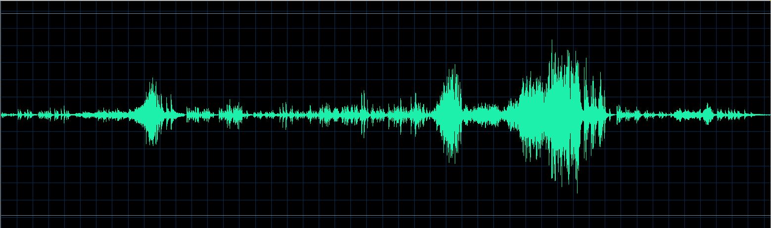 Bernd Glemser waveform