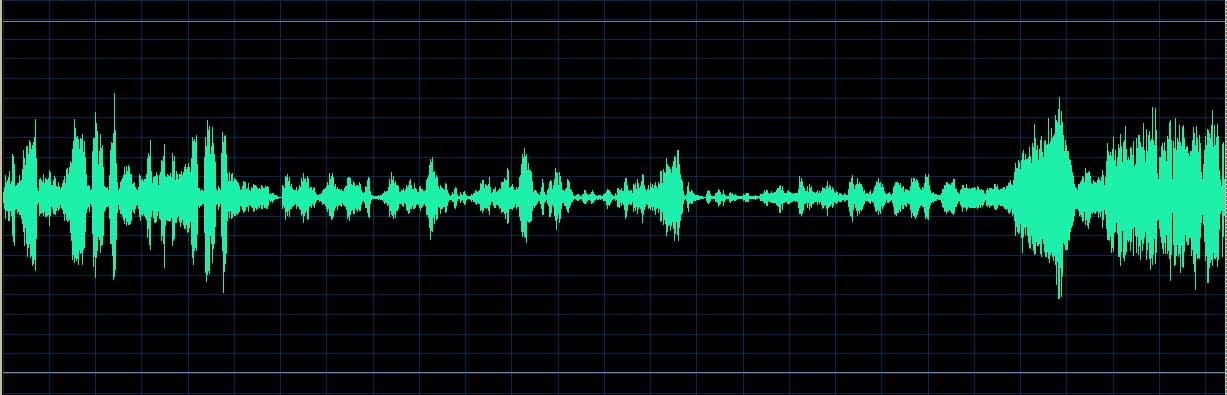 Janina Fialkowska waveform