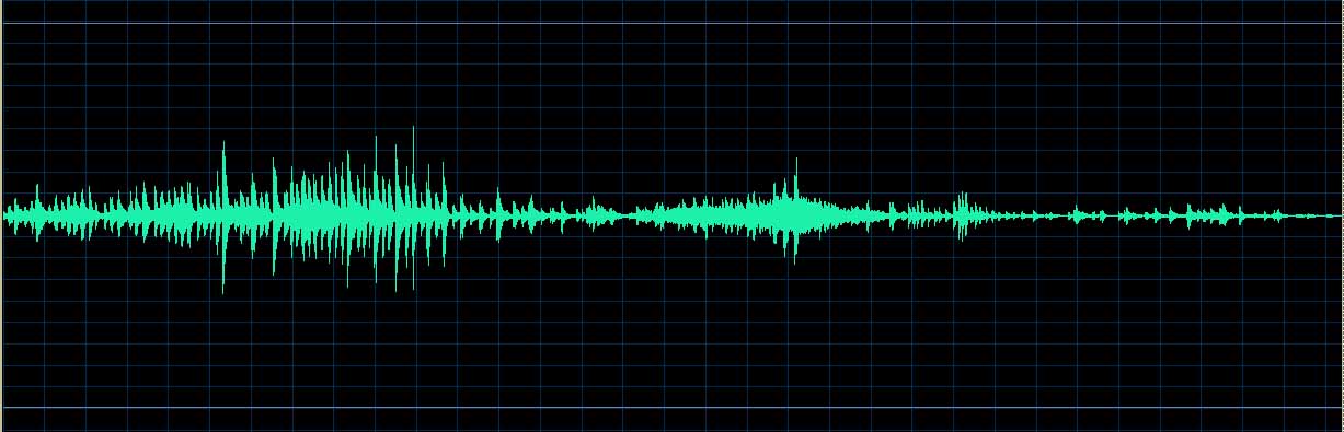 Michel Dalberto waveform