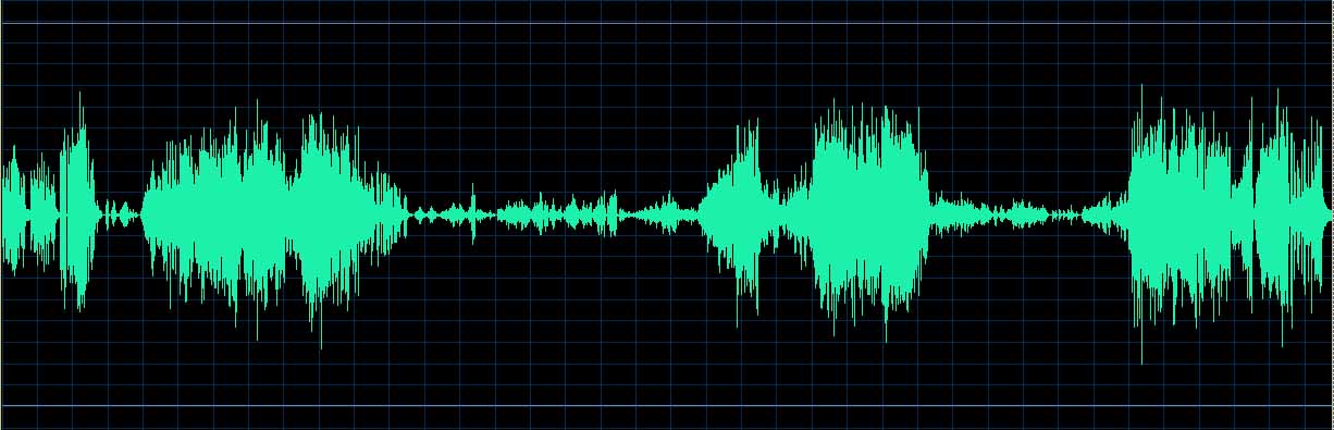 Michel Dalberto waveform
