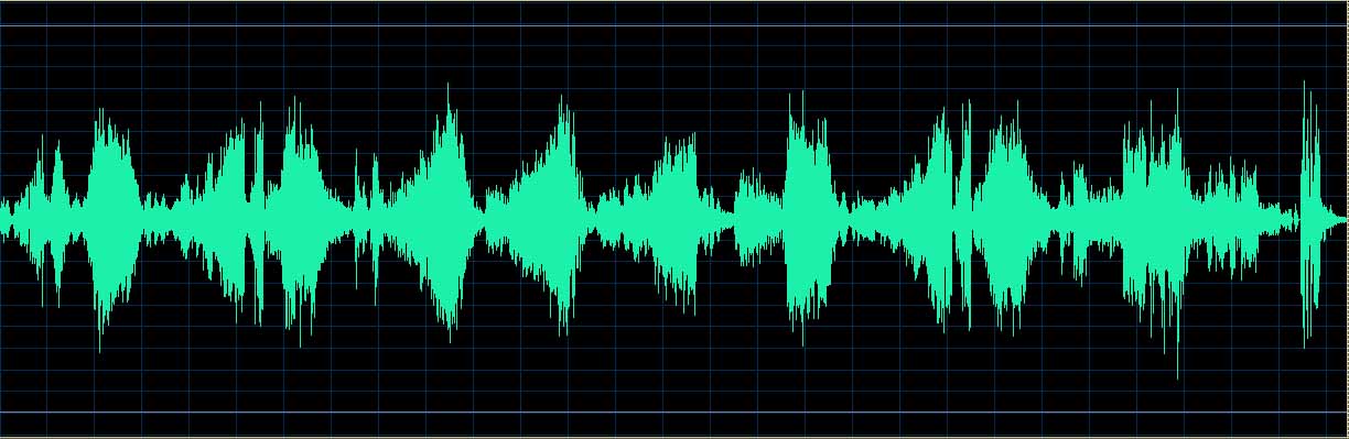 Michel Dalberto waveform