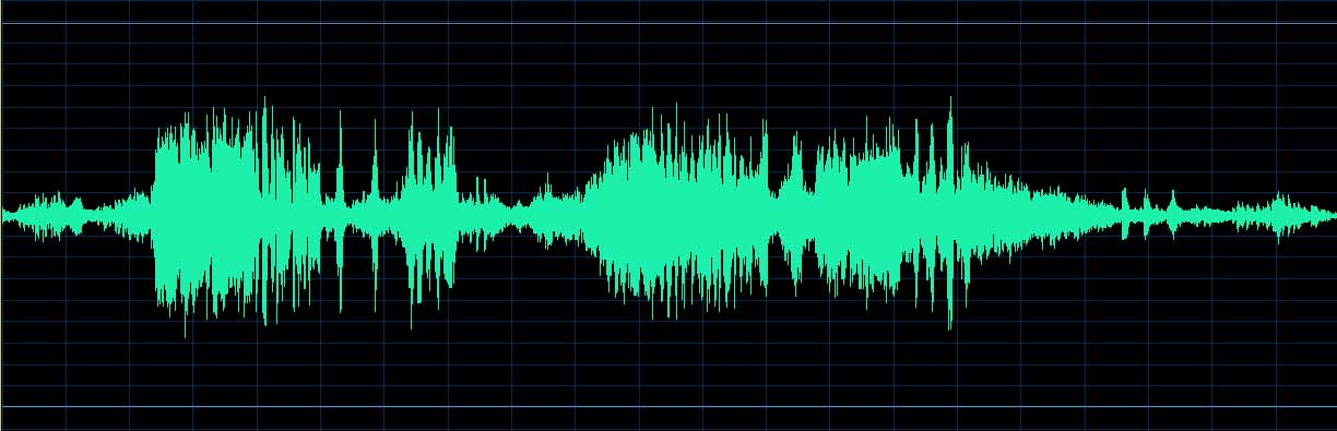 Michel Dalberto waveform