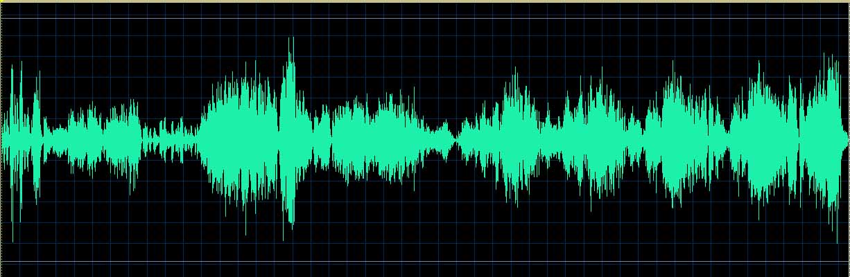 Herbert du Plessis waveform