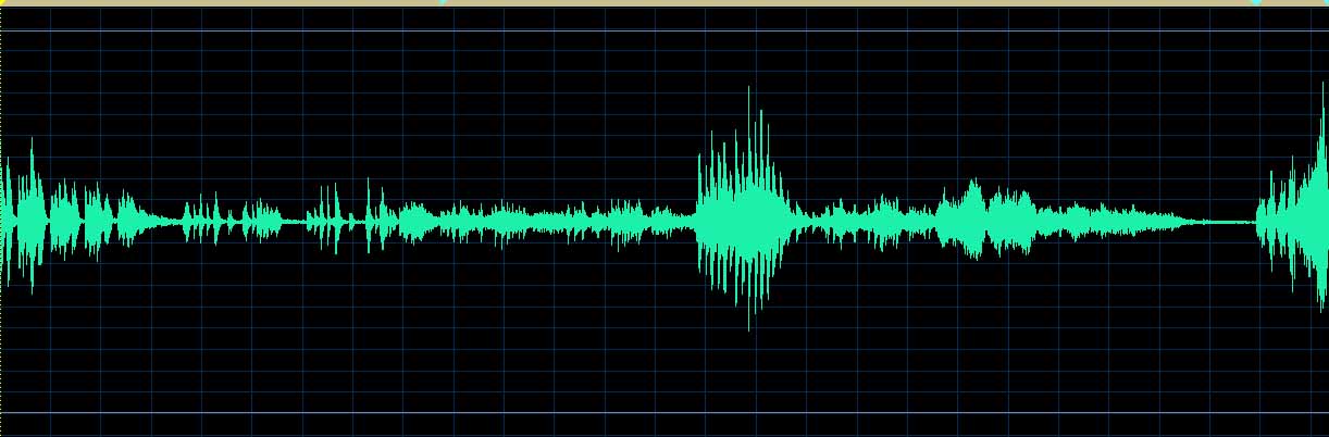 Endre Hegedüs waveform