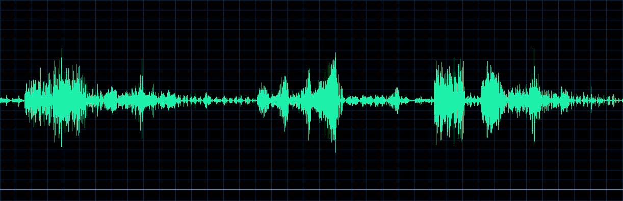 Michel Dalberto waveform