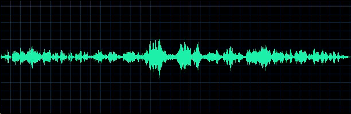 Ronald Brautigam waveform