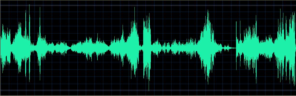 Ronald Brautigam waveform