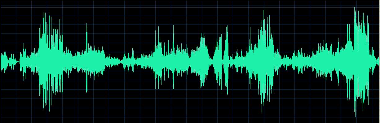 Ronald Brautigam waveform