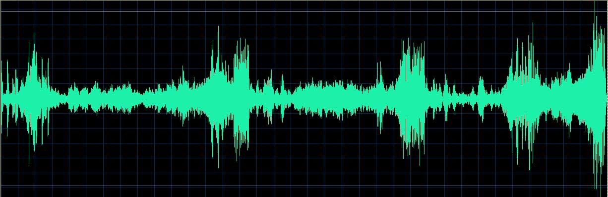 Ronald Brautigam waveform