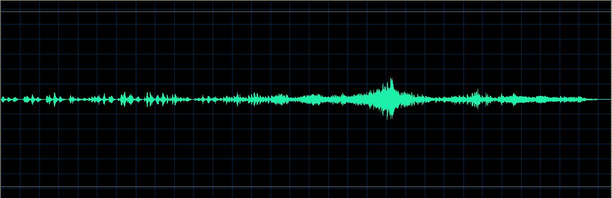 Sergei Edelmann waveform