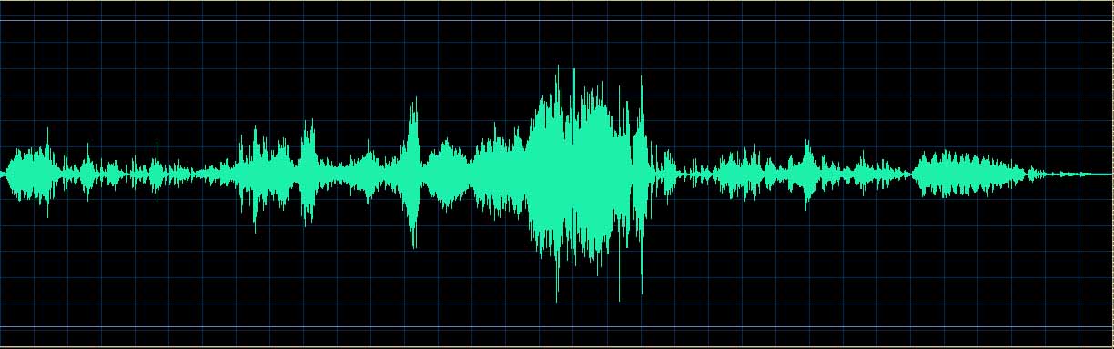 Gitti Pirner waveform
