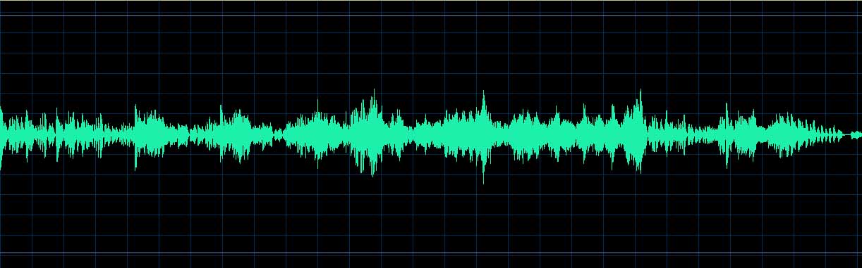 Gitti Pirner waveform