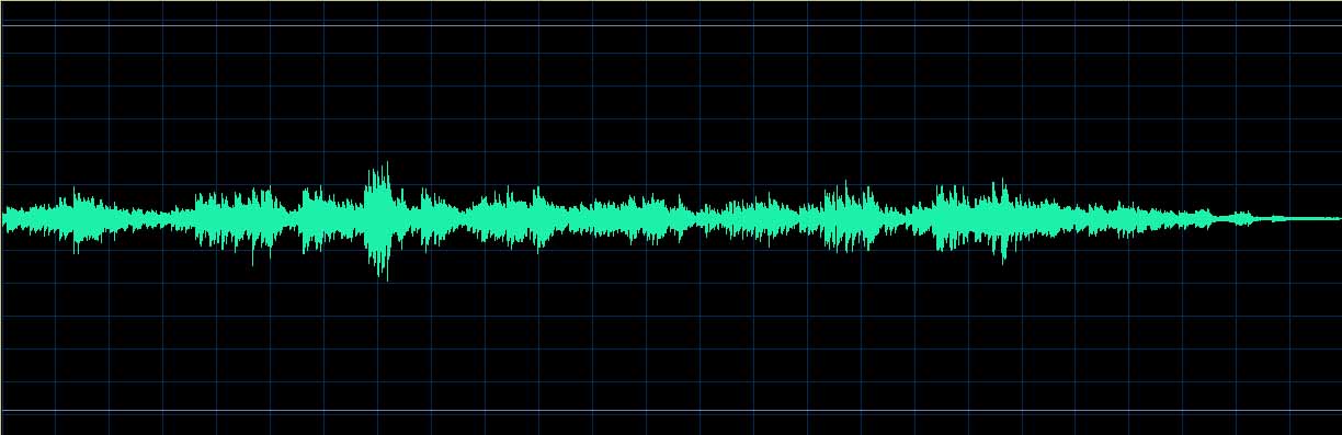 Peter Nagy waveform