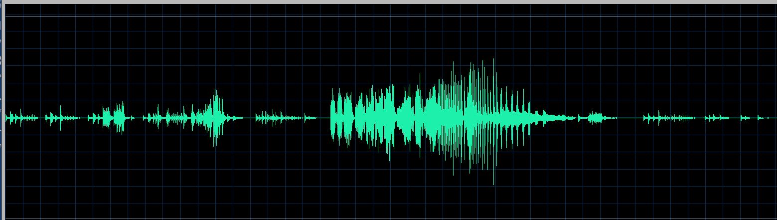Paul Kim waveform