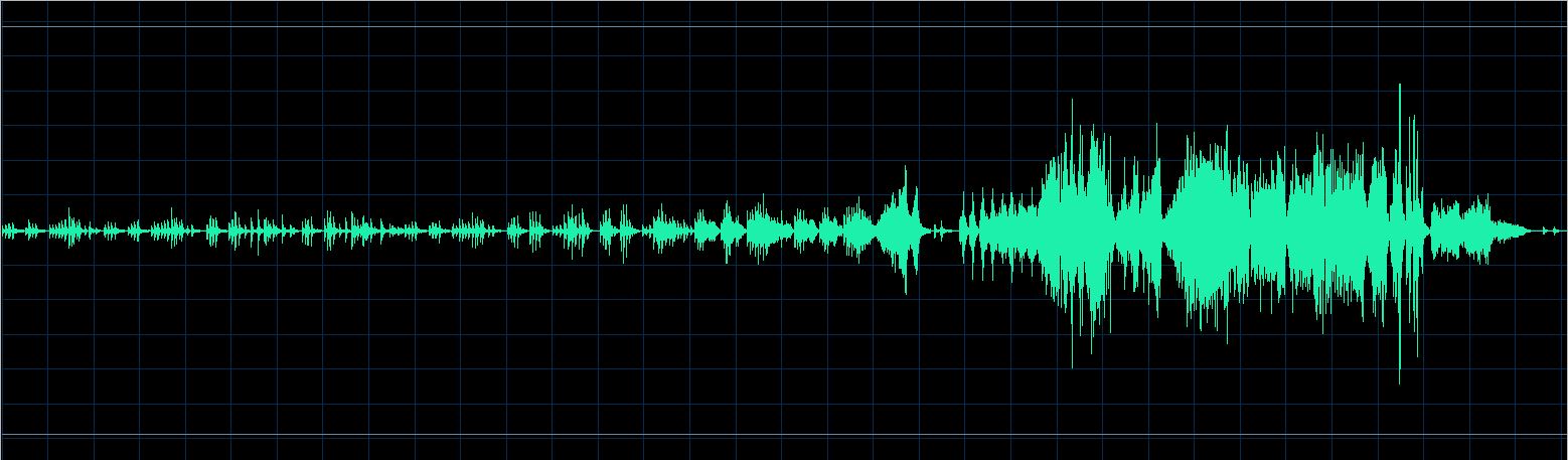 Paul Kim waveform