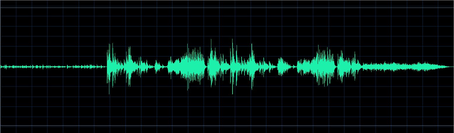 Paul Kim waveform