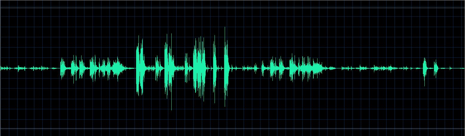 Paul Kim waveform