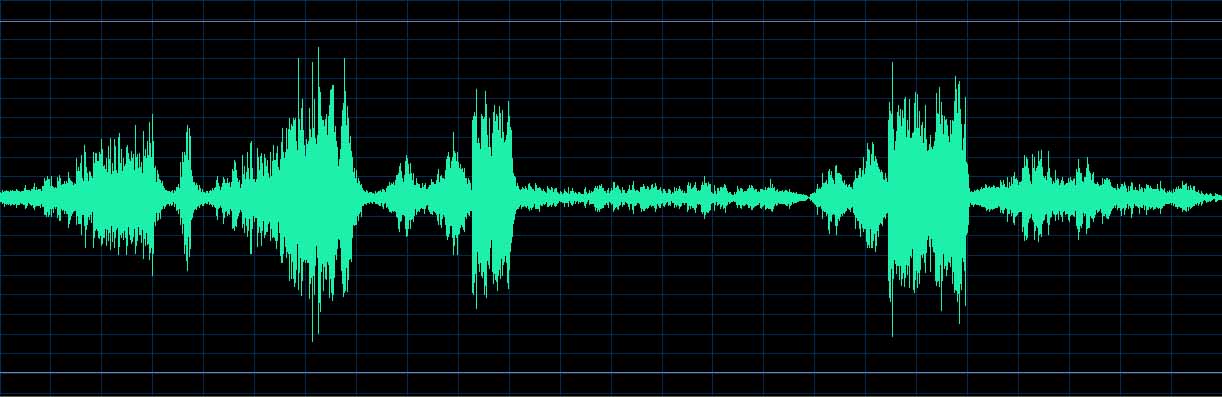 Oleg Marshev waveform
