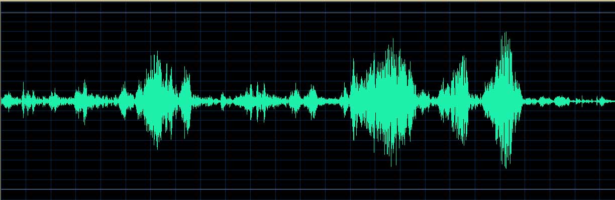 Oleg Marshev waveform