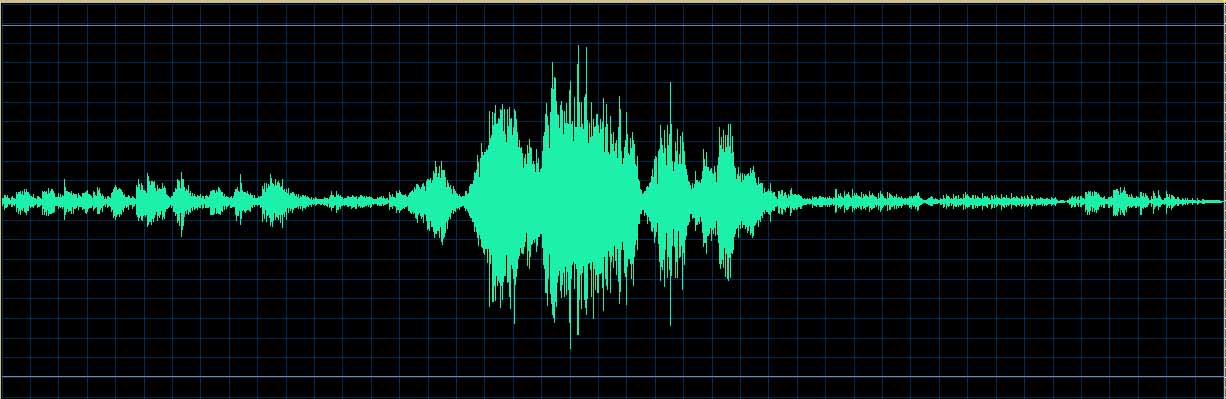 Oleg Marshev waveform