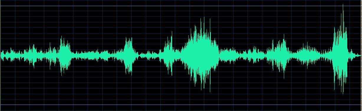 Boris Berman waveform